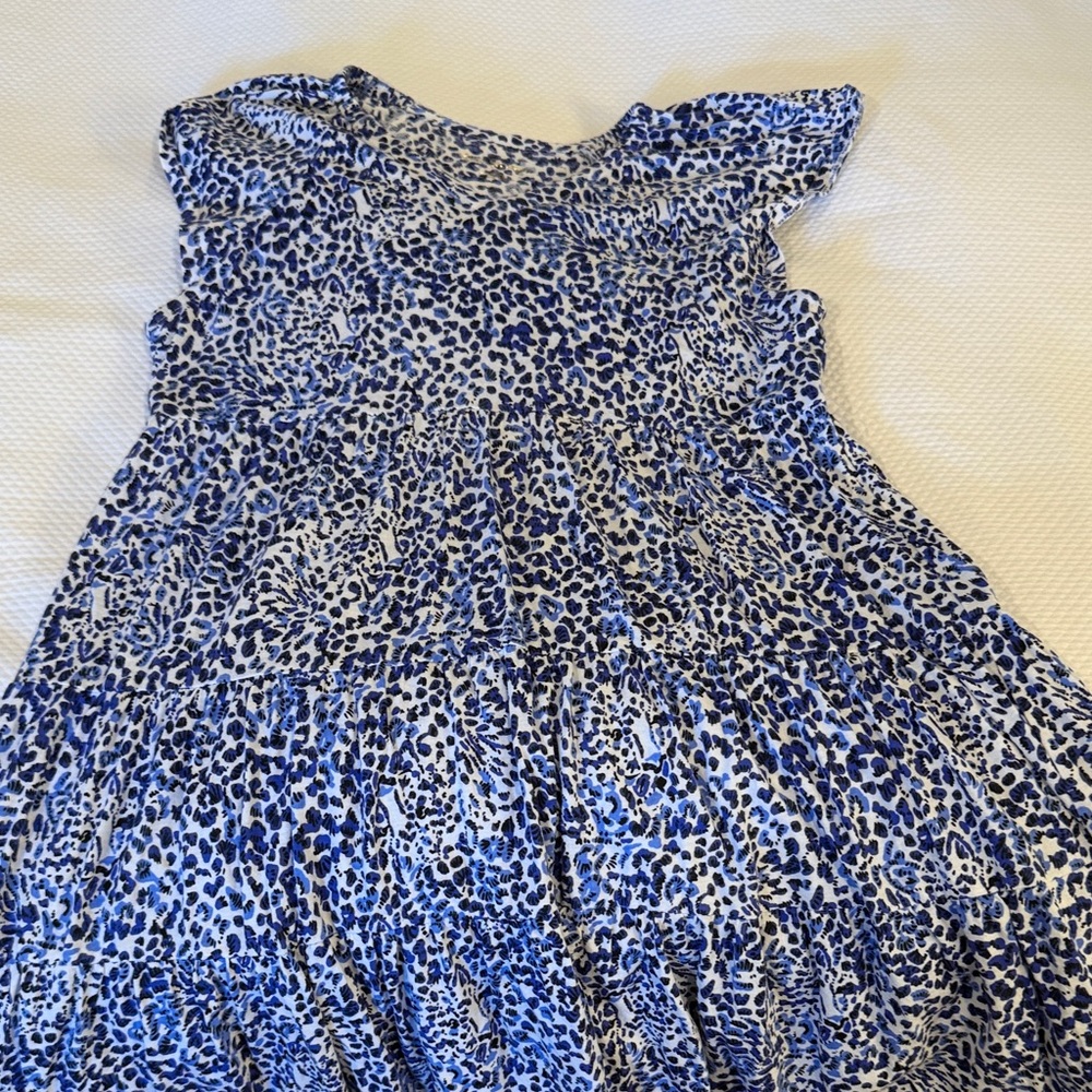 Lilly Pulitzer Blue and White Kids Dress